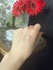 2025-04-14 10:32:32 by [R