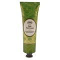 SABON(T{) / b`tbgN[