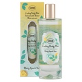 SABON(T{) / {fB~Xg Xp[NOEY